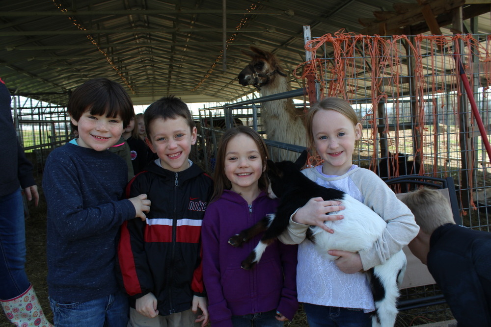 Kindergarten Trip - Bacchus Family Farms