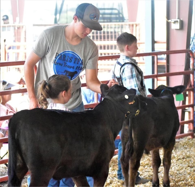 Paris HIgh School FFA and Logan County Fair Cattle Show